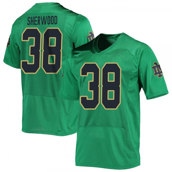 Davis Sherwood Notre Dame Fighting Irish NCAA Men's #38 Green Replica College Stitched Football Jersey AHA8055AZ
